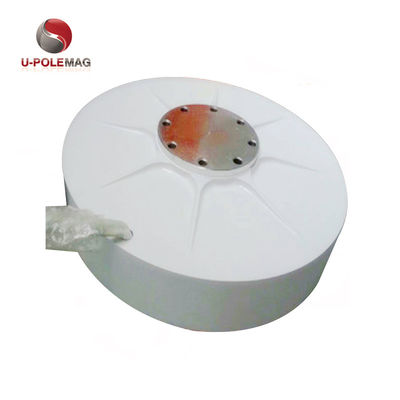 Magnéte des terres rares pour générateur de vent à rotor interne AFPMG520-1.0KW/90RPM personnalisé