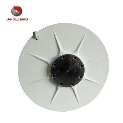 Magnéte des terres rares pour générateur de vent à rotor interne AFPMG520-1.0KW/90RPM personnalisé