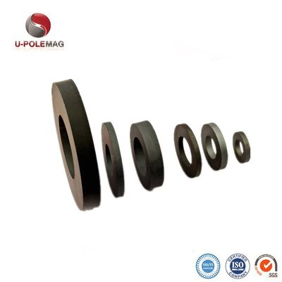 Ringe magnétisée diamétralement pour haut-parleur professionnel