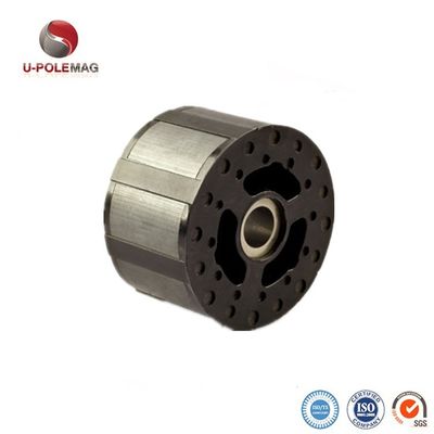 Ringe magnétisée diamétralement pour haut-parleur professionnel