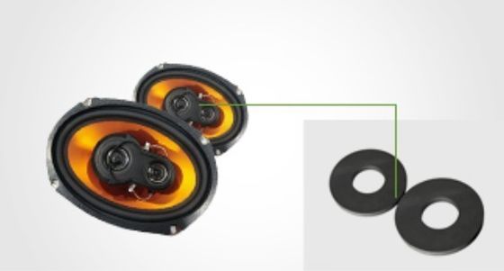 Ringe magnétisée diamétralement pour haut-parleur professionnel
