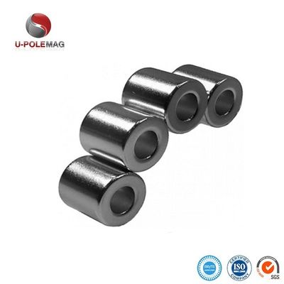 Magnet à anneau revêtu d'époxy sur mesure pour cylindre composite magnétique antirouille au néodyme