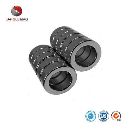 Magnet à anneau revêtu d'époxy sur mesure pour cylindre composite magnétique antirouille au néodyme